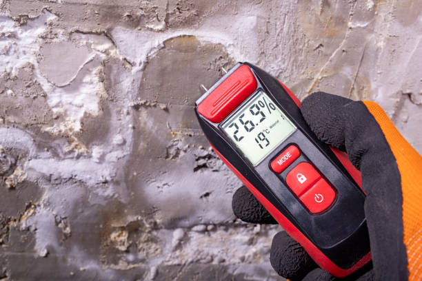 Best Affordable Mold Removal  in Oran, MO