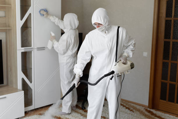 Best Certified Mold Removal  in Oran, MO